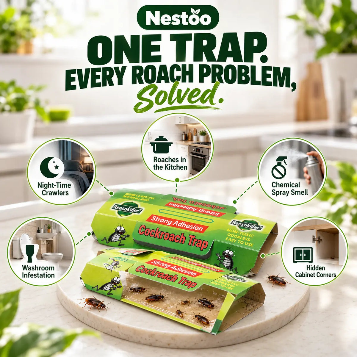 Nestoo - Cockroach Trap | 🔥Buy 5 Get 5 Free🔥
