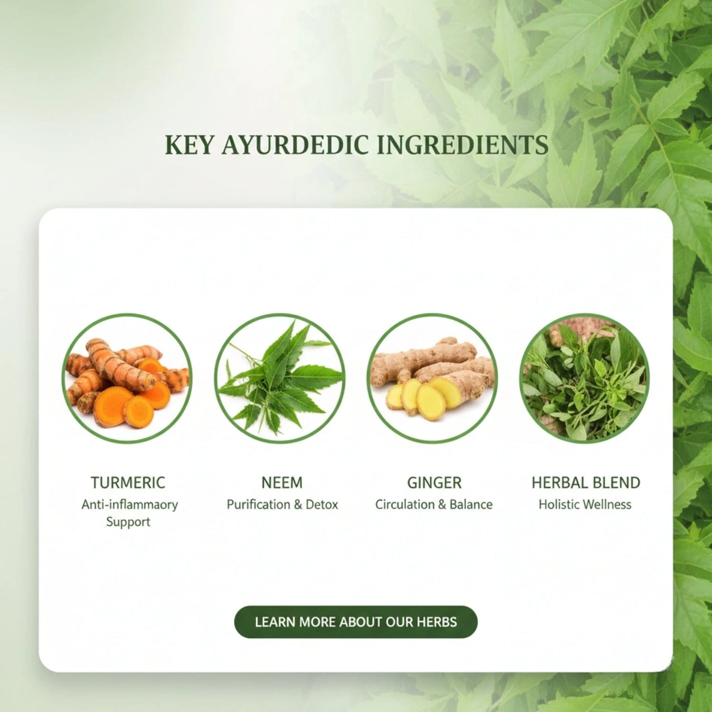 HerbiPatch™ - Ayurvedic Herbs Sugar Patch (Buy 1 Get 1 Free)