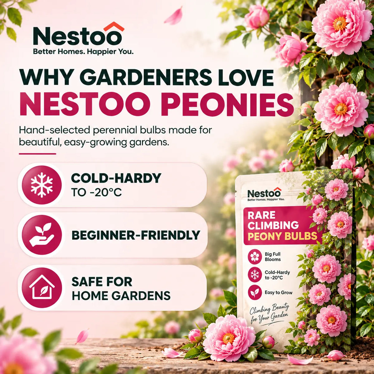🌸Nestoo - Rare Climbing Peony Bulbs🔥Buy 6 Get 6 Free Bulbs🔥