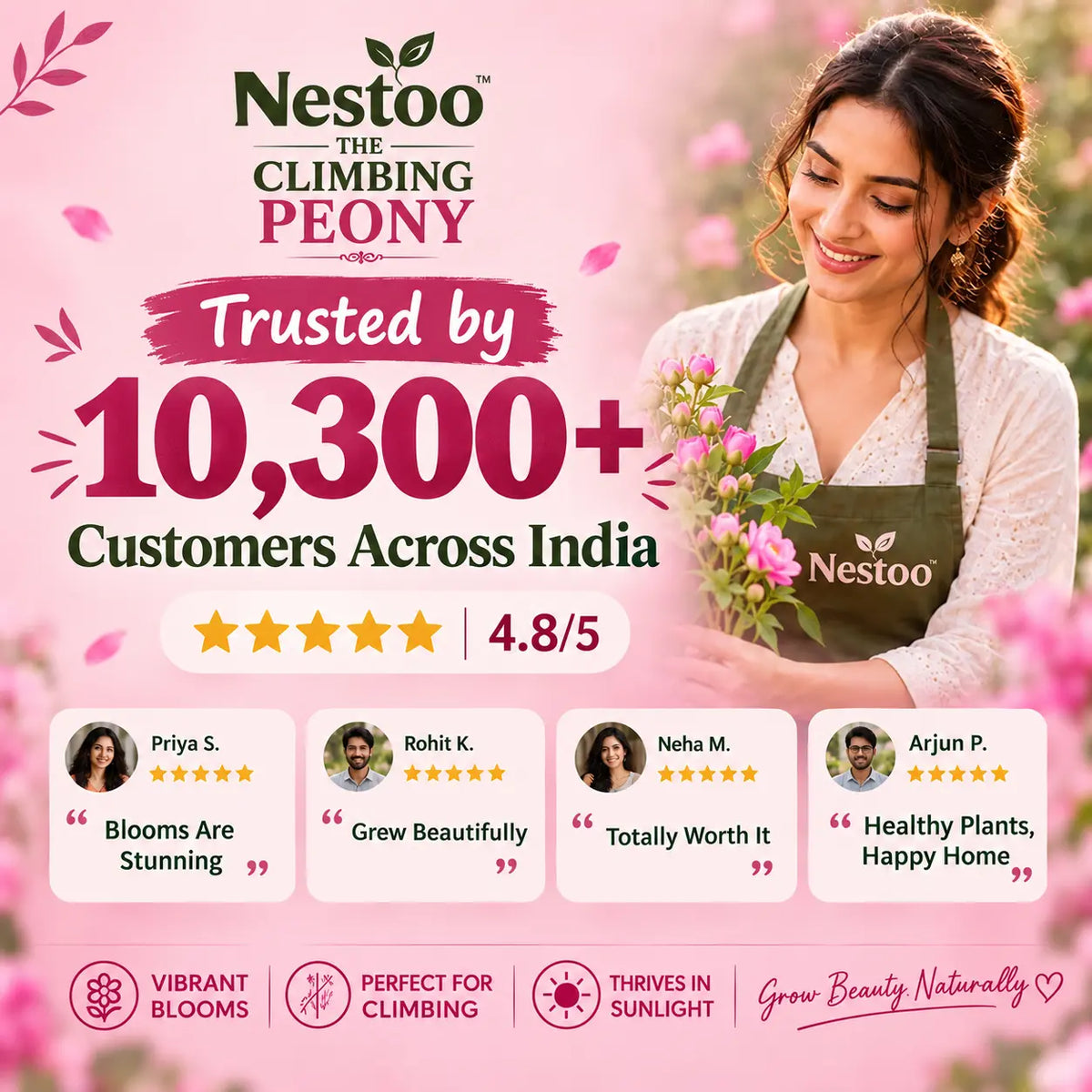 🌸Nestoo - Rare Climbing Peony Bulbs🔥Buy 6 Get 6 Free Bulbs🔥