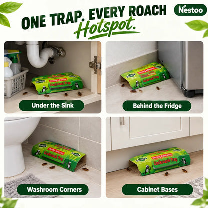 Nestoo - Cockroach Trap | 🔥Buy 5 Get 5 Free🔥