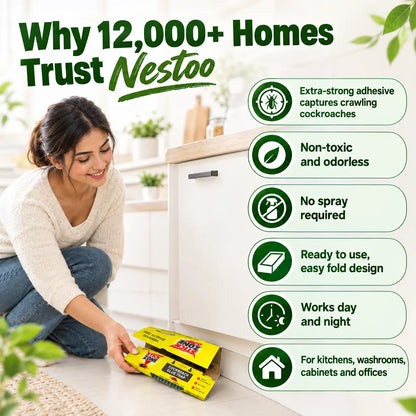 Nestoo - Cockroach Trap | 🔥Buy 5 Get 5 Free🔥